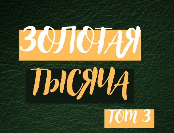 [Василина Баранова] [vasilinfo] Золотая тысяча. Том 3 (2025)