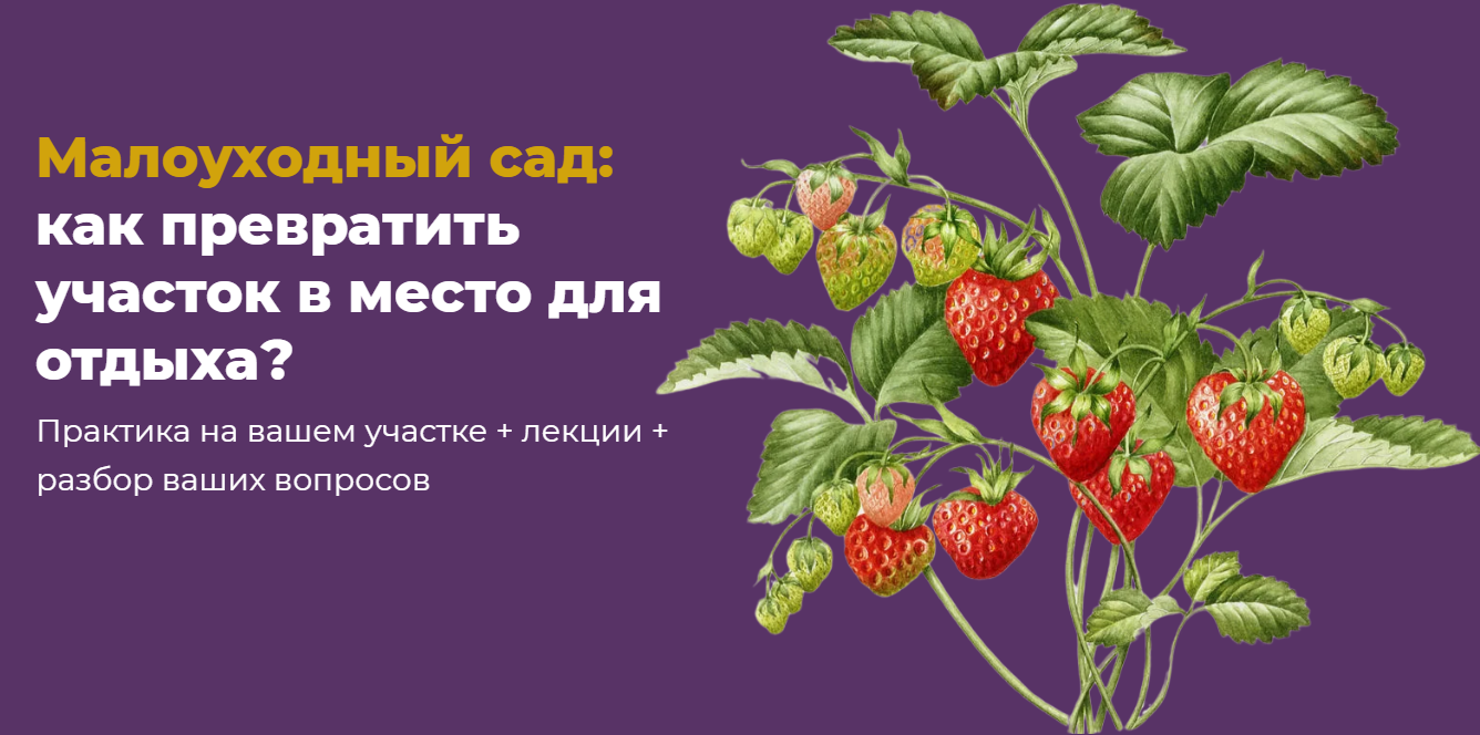 [Мария Шашкова] [Школа Сада] Малоуходный сад: как превратить участок в место для отдыха? (2025)