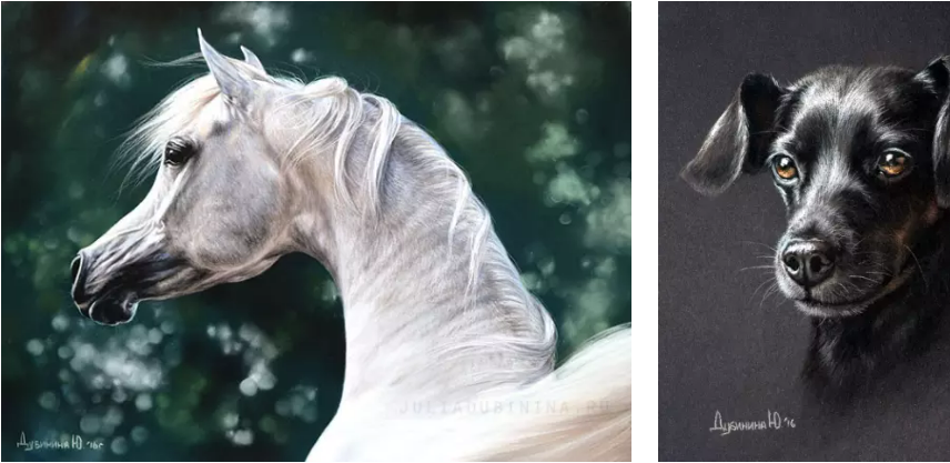 [lectoroom, Юлия Дубинина] Портреты домашних животных (2024)